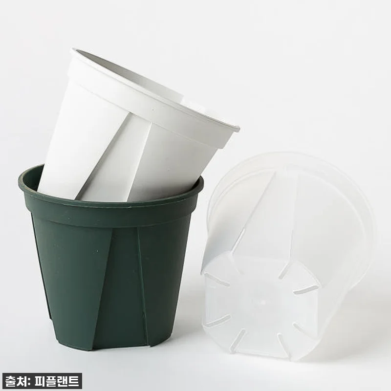 이 가격 실화?! 찐 식집사라면 당장 관련 이미지 1
