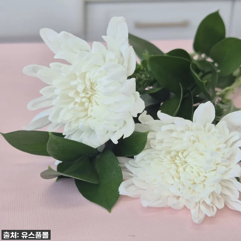 유스풀몰 성묘 국화 찐후기: 3만원짜 관련 이미지 1