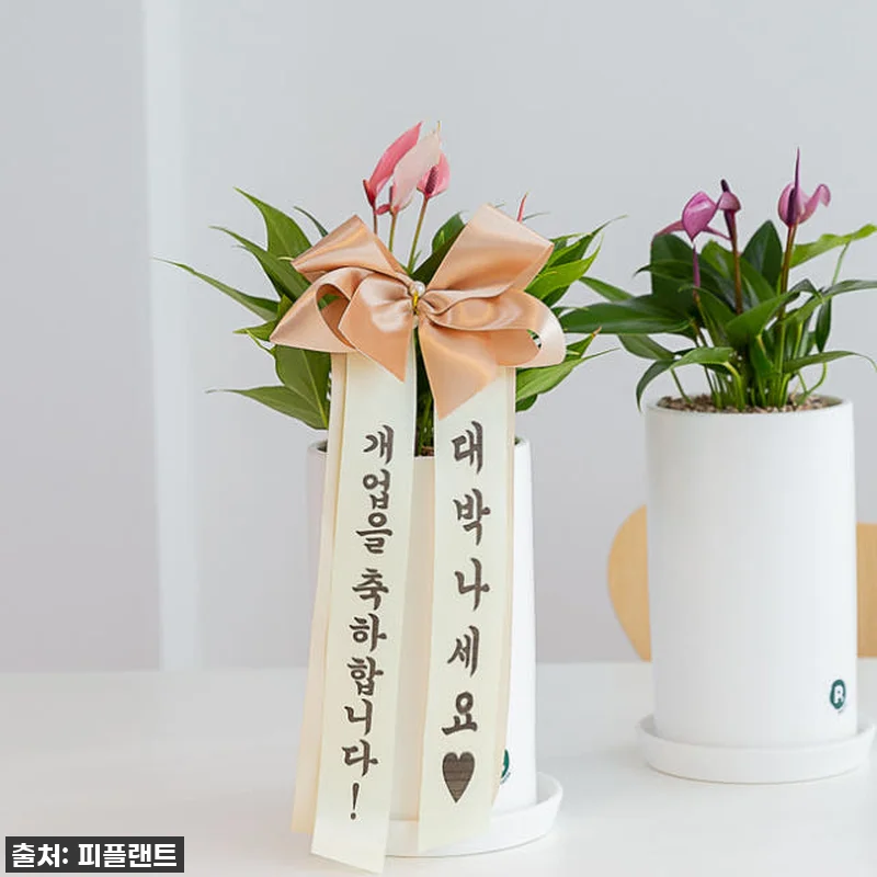 찐후기! 센스 끝판왕 개업&승진 선물 관련 이미지 1