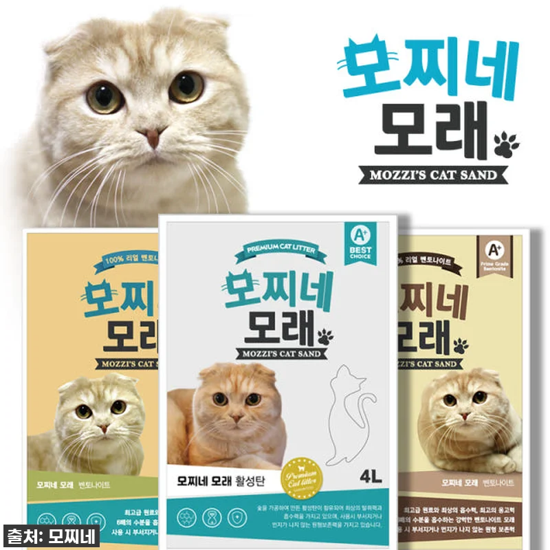 🔥품절임박🔥 찐집사 8년차! 모찌네 관련 이미지 1