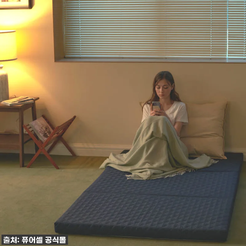이 가격 실화?! 퓨어셀 3단 접이식 관련 이미지 4