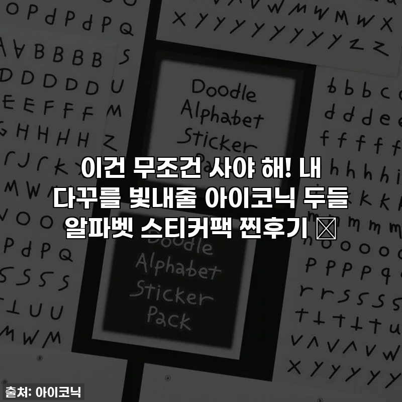 이건 무조건 사야 해! 내 다꾸를 빛내줄 아이코닉 두들 알파벳 스티커팩 찐후기 ✨