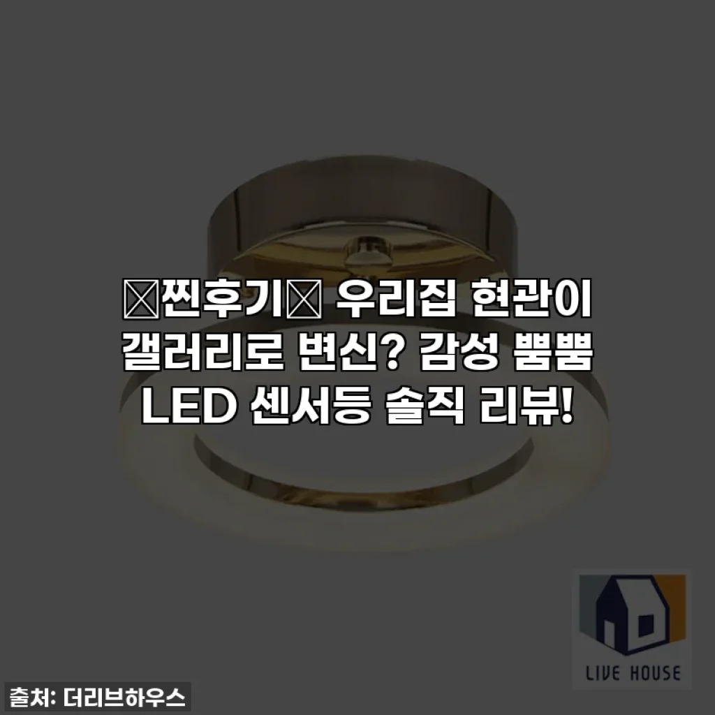 ✨찐후기✨ 우리집 현관이 갤러리로 변신? 감성 뿜뿜 LED 센서등 솔직 리뷰!