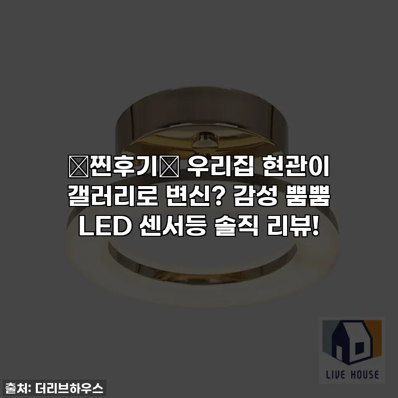 ✨찐후기✨ 우리집 현관이 갤러리로 변신? 감성 뿜뿜 LED 센서등 솔직 리뷰!
