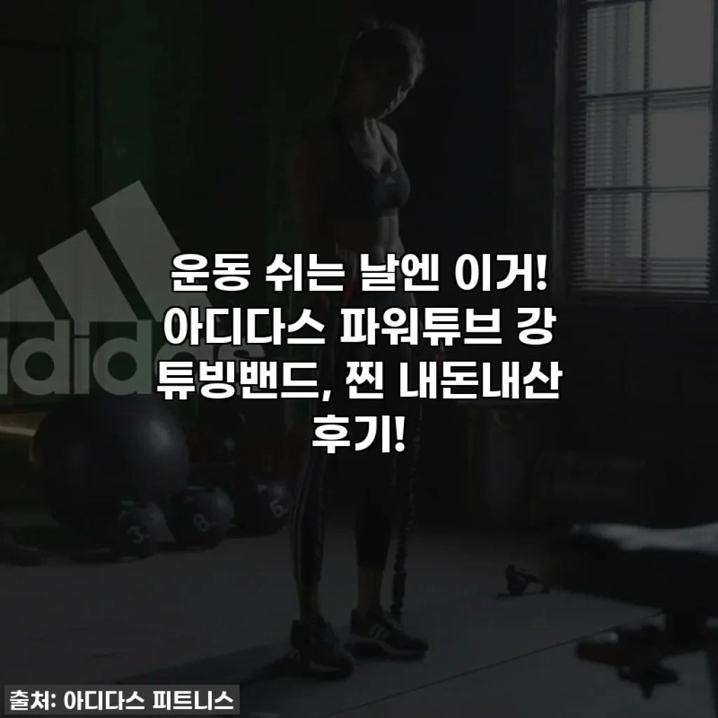 운동 쉬는 날엔 이거! 아디다스 파워튜브 강 튜빙밴드, 찐 내돈내산 후기!