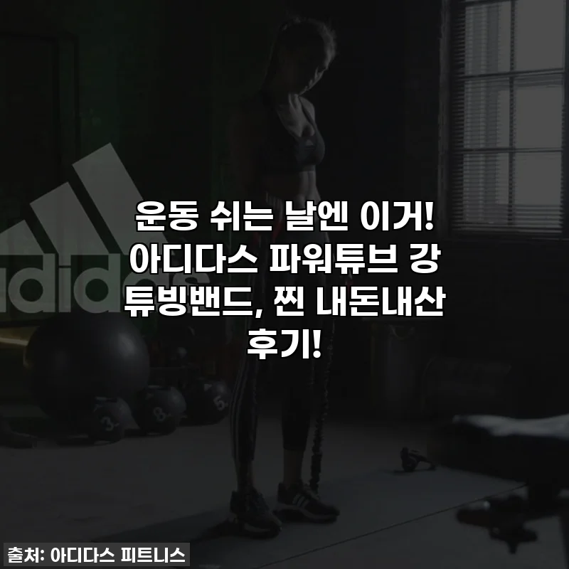 운동 쉬는 날엔 이거! 아디다스 파워튜브 강 튜빙밴드, 찐 내돈내산 후기!