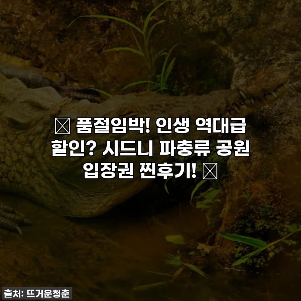 ✨ 품절임박! 인생 역대급 할인? 시드니 파충류 공원 입장권 찐후기! ✨