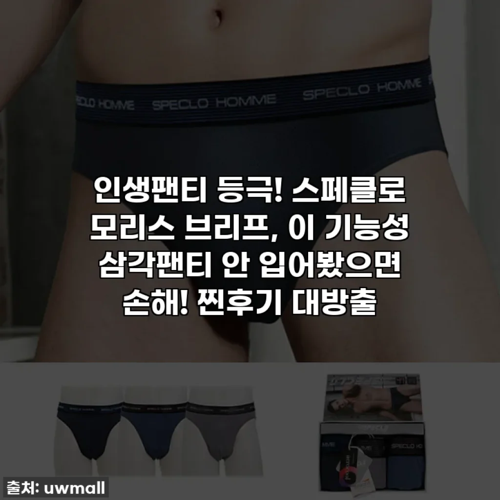 인생팬티 등극! 스페클로 모리스 브리프, 이 기능성 삼각팬티 안 입어봤으면 손해! 찐후기 대방출