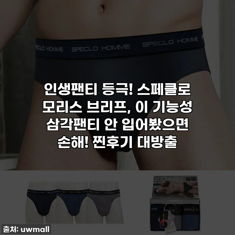 인생팬티 등극! 스페클로 모리스 브리프, 이 기능성 삼각팬티 안 입어봤으면 손해! 찐후기 대방출