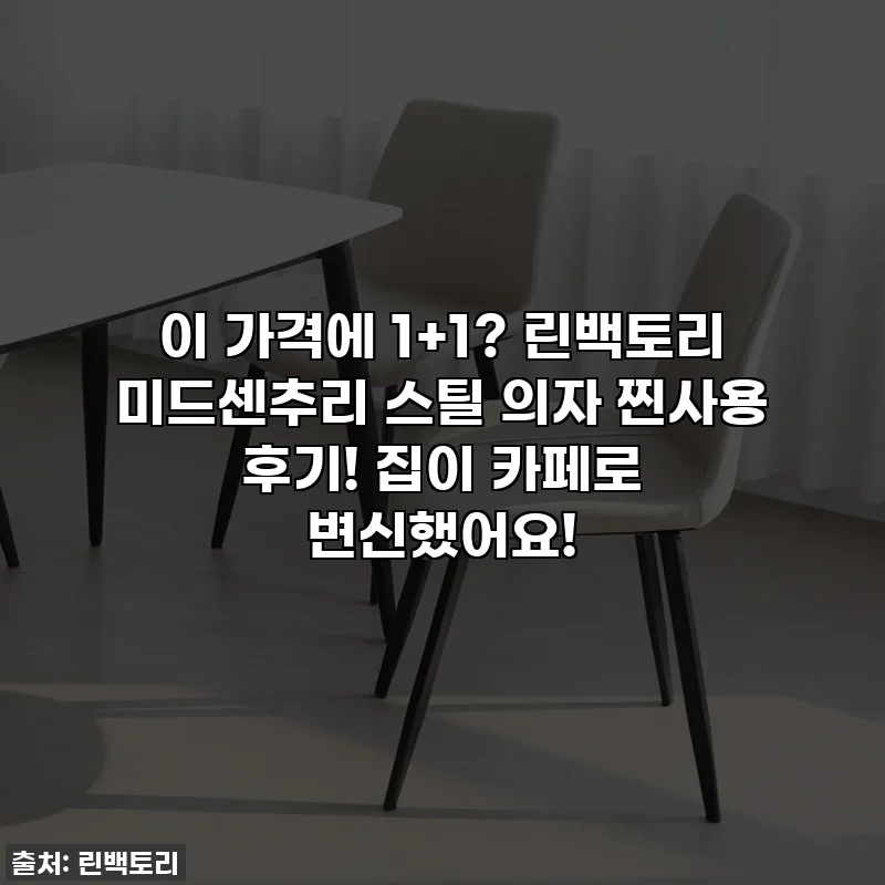 이 가격에 1+1? 린백토리 미드센추리 스틸 의자 찐사용 후기! 집이 카페로 변신했어요!
