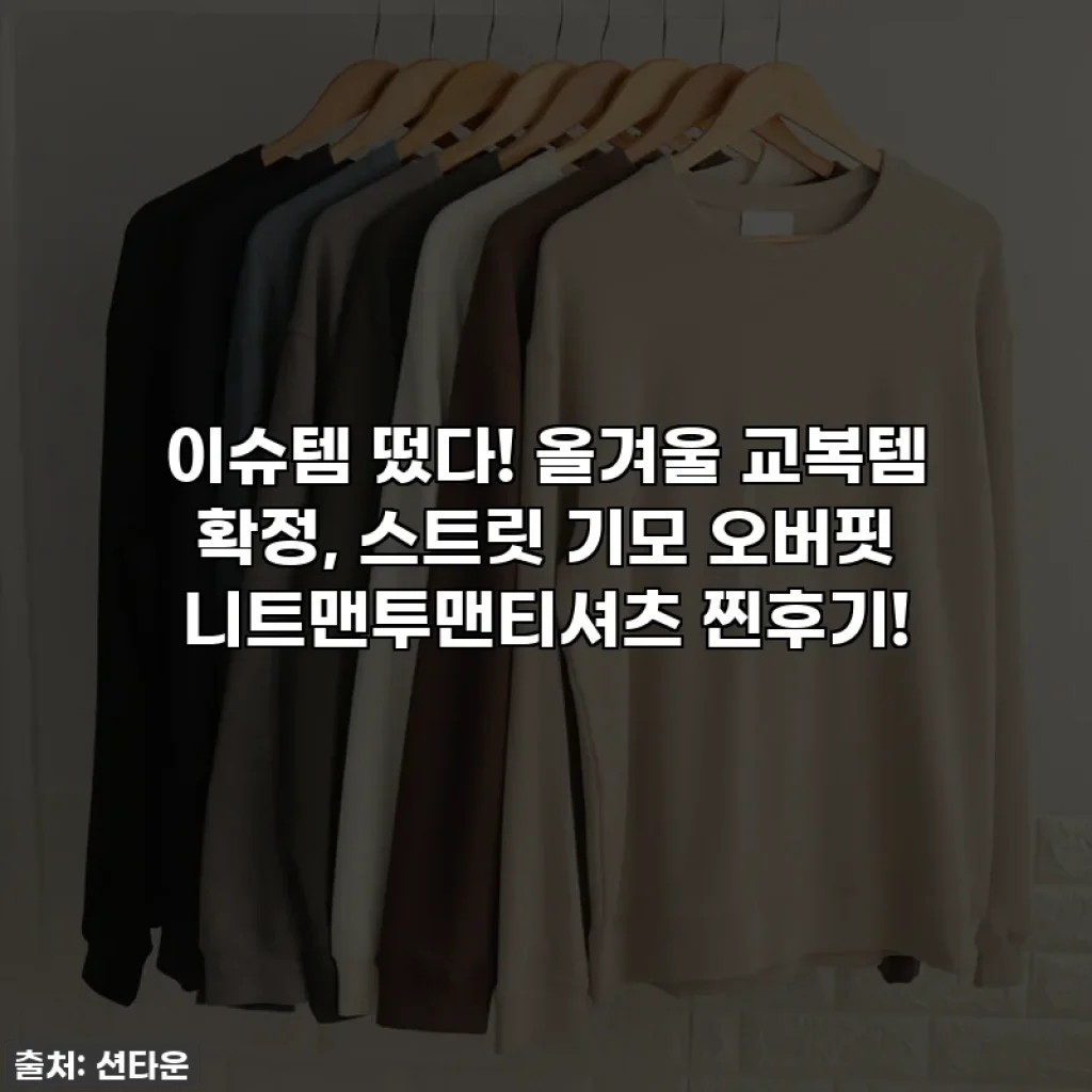 이슈템 떴다! 올겨울 교복템 확정, 스트릿 기모 오버핏 니트맨투맨티셔츠 찐후기!