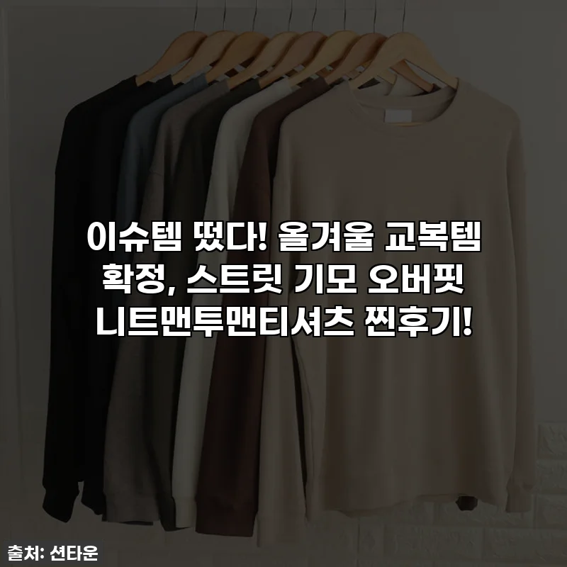 이슈템 떴다! 올겨울 교복템 확정, 스트릿 기모 오버핏 니트맨투맨티셔츠 찐후기!