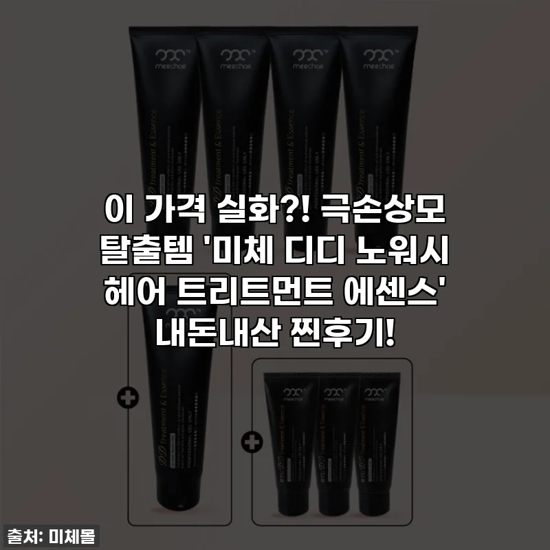 이 가격 실화?! 극손상모 탈출템 '미체 디디 노워시 헤어 트리트먼트 에센스' 내돈내산 찐후기!