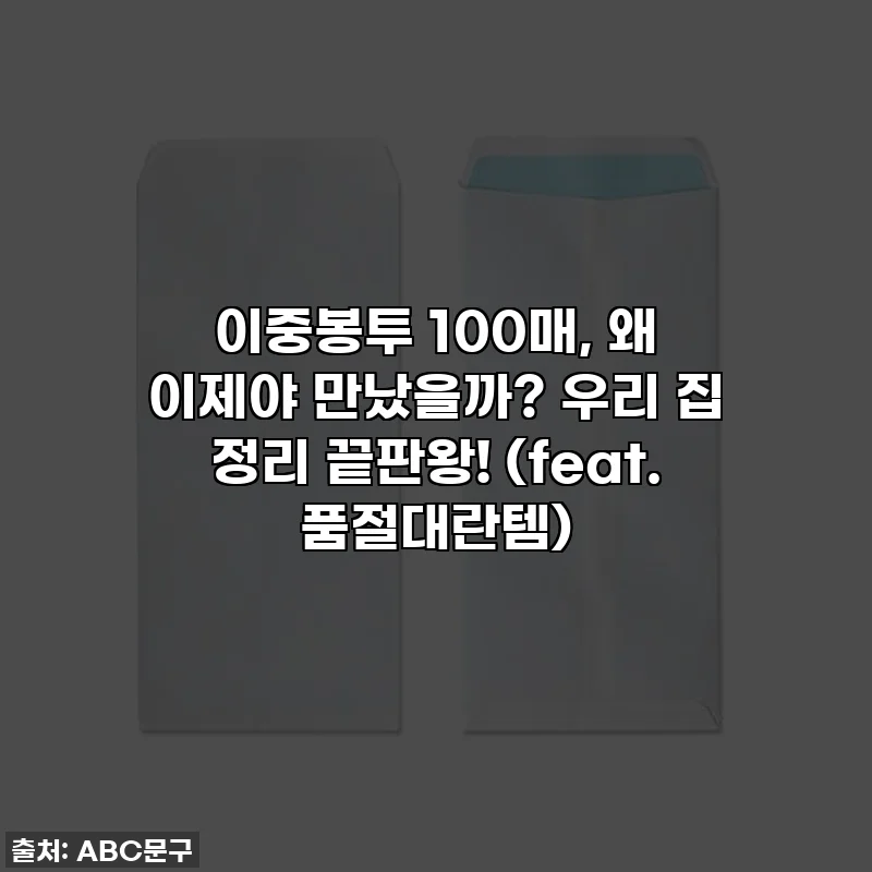 이중봉투 100매, 왜 이제야 만났을까? 우리 집 정리 끝판왕! (feat. 품절대란템)