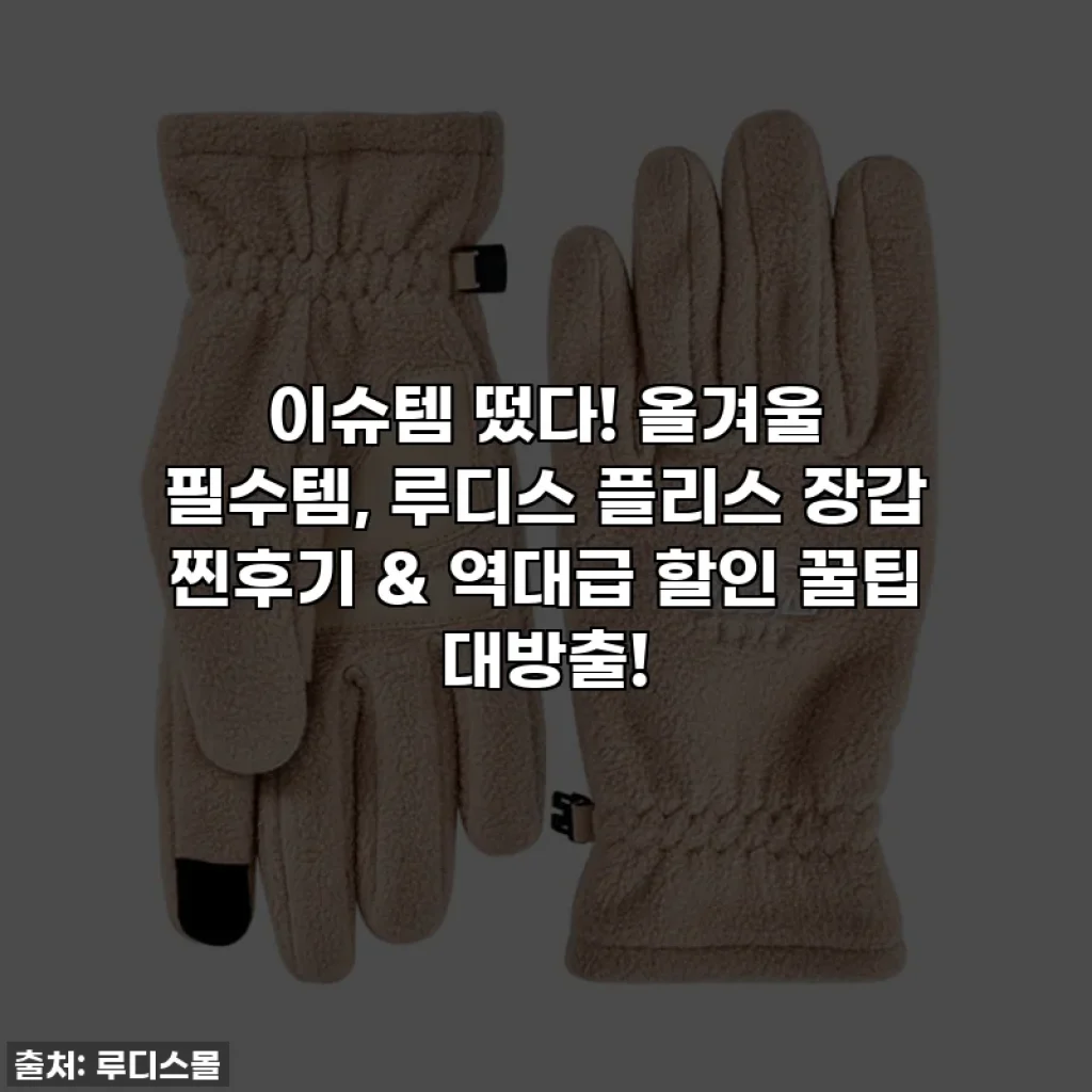 이슈템 떴다! 올겨울 필수템, 루디스 플리스 장갑 찐후기 & 역대급 할인 꿀팁 대방출!
