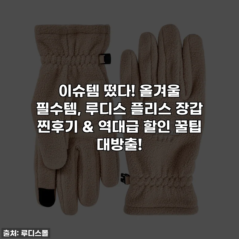 이슈템 떴다! 올겨울 필수템, 루디스 플리스 장갑 찐후기 & 역대급 할인 꿀팁 대방출!