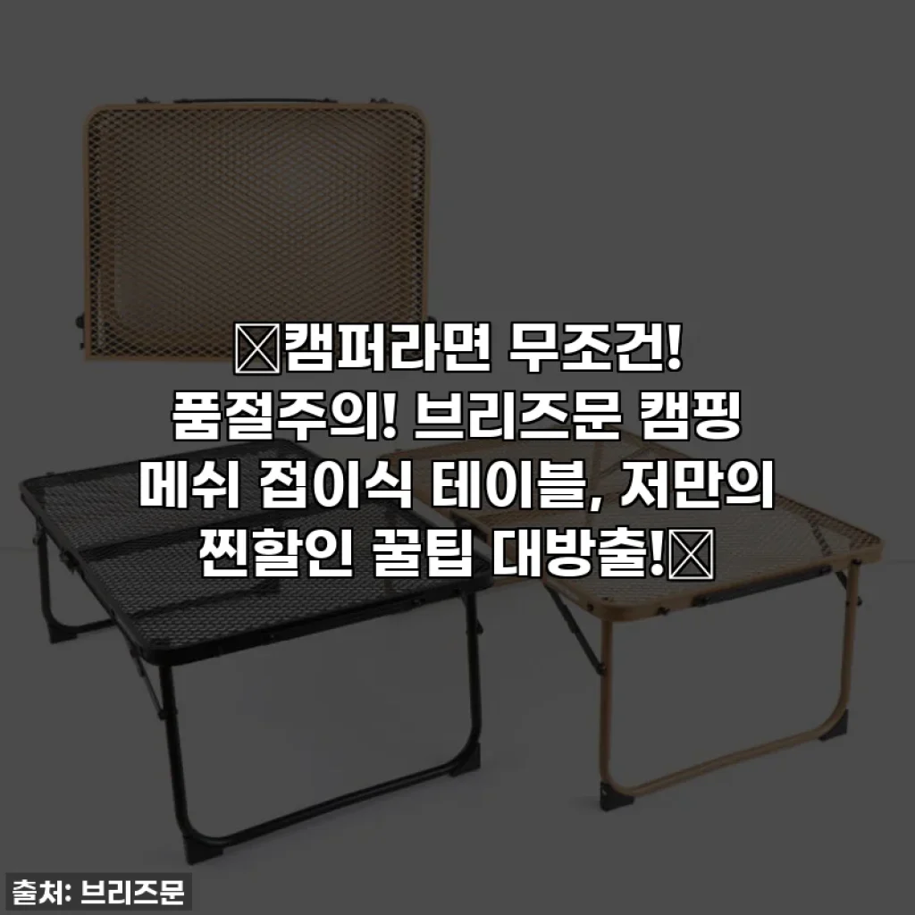 🔥캠퍼라면 무조건! 품절주의! 브리즈문 캠핑 메쉬 접이식 테이블, 저만의 찐할인 꿀팁 대방출!🔥