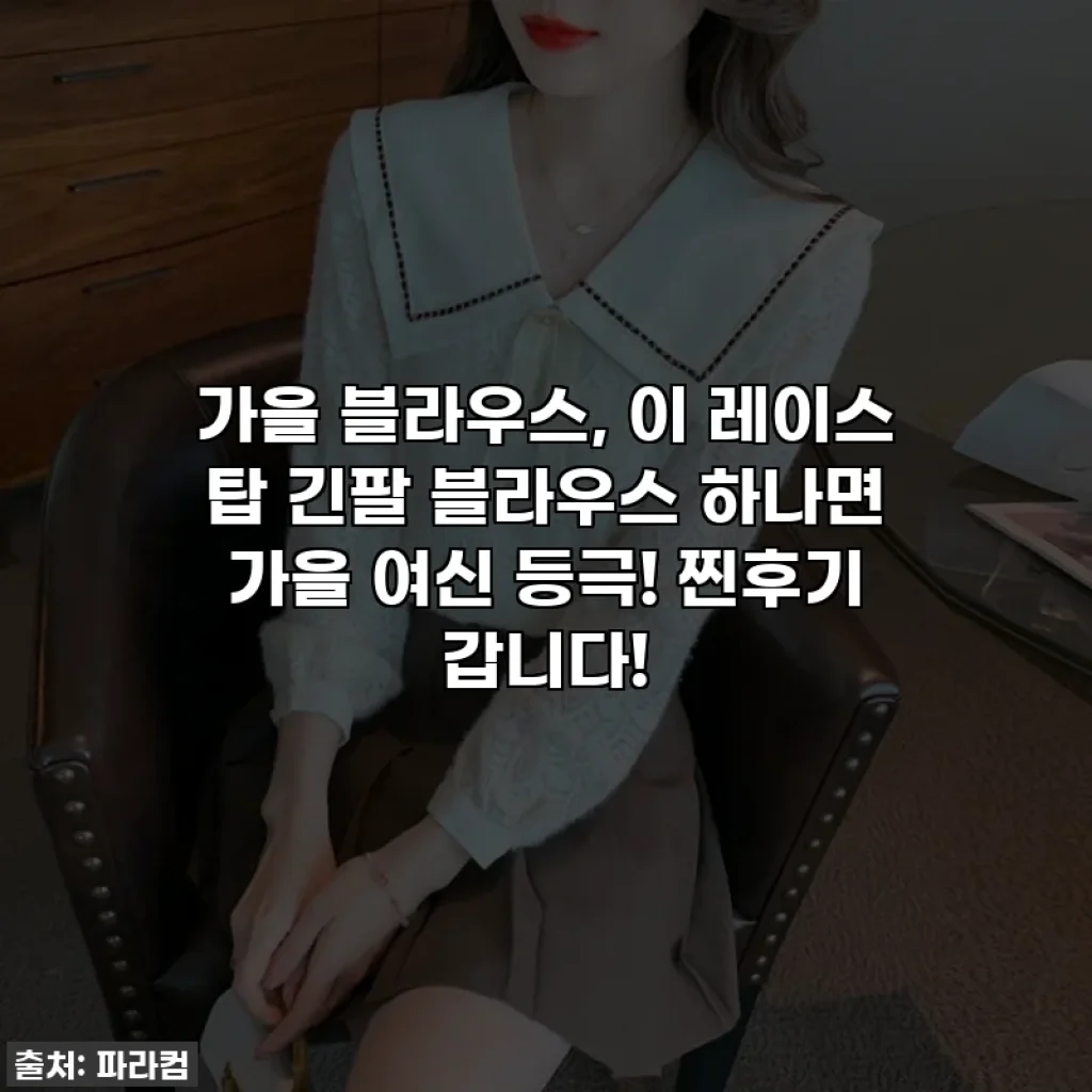가을 블라우스, 이 레이스 탑 긴팔 블라우스 하나면 가을 여신 등극! 찐후기 갑니다!
