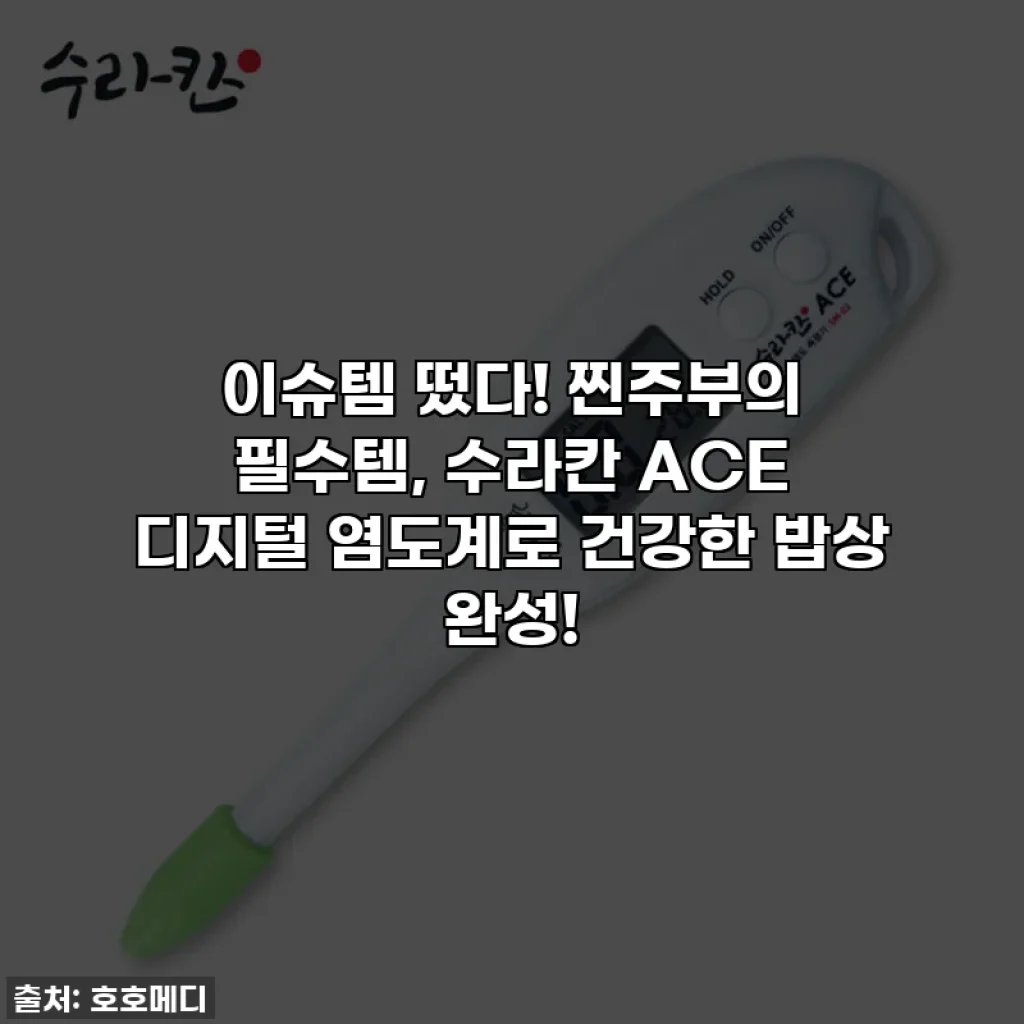 이슈템 떴다! 찐주부의 필수템, 수라칸 ACE 디지털 염도계로 건강한 밥상 완성!