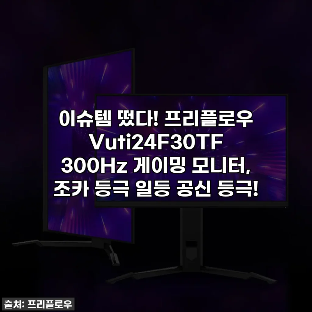 이슈템 떴다! 프리플로우 Vuti24F30TF 300Hz 게이밍 모니터, 조카 등극 일등 공신 등극!