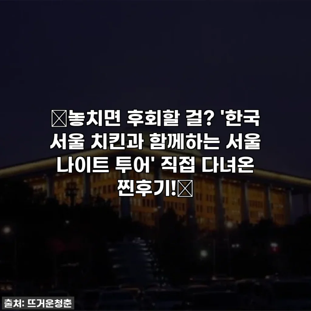 ⭐놓치면 후회할 걸? '한국 서울 치킨과 함께하는 서울 나이트 투어' 직접 다녀온 찐후기!⭐