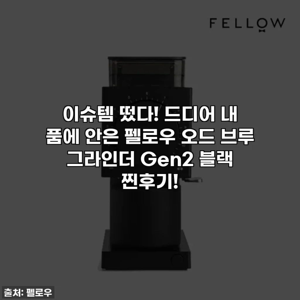 이슈템 떴다! 드디어 내 품에 안은 펠로우 오드 브루 그라인더 Gen2 블랙 찐후기!
