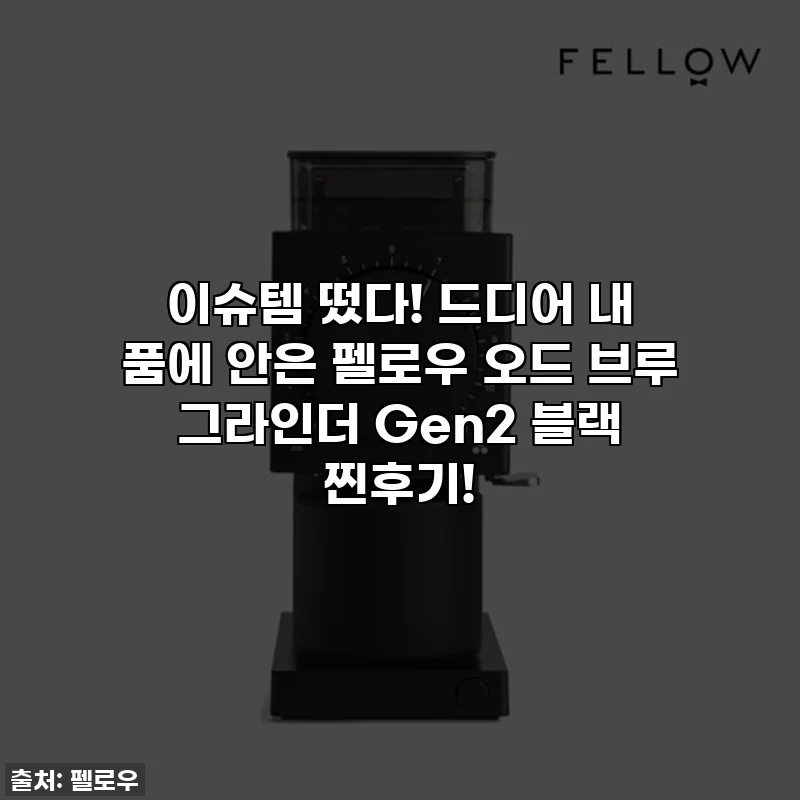 이슈템 떴다! 드디어 내 품에 안은 펠로우 오드 브루 그라인더 Gen2 블랙 찐후기!