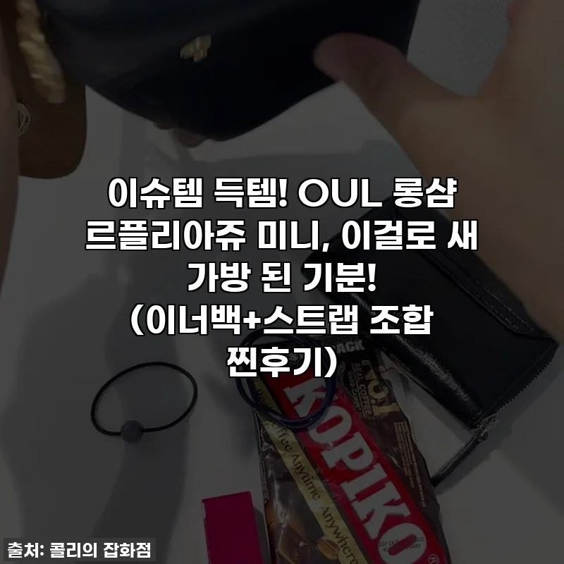이슈템 득템! OUL 롱샴 르플리아쥬 미니, 이걸로 새 가방 된 기분! (이너백+스트랩 조합 찐후기)