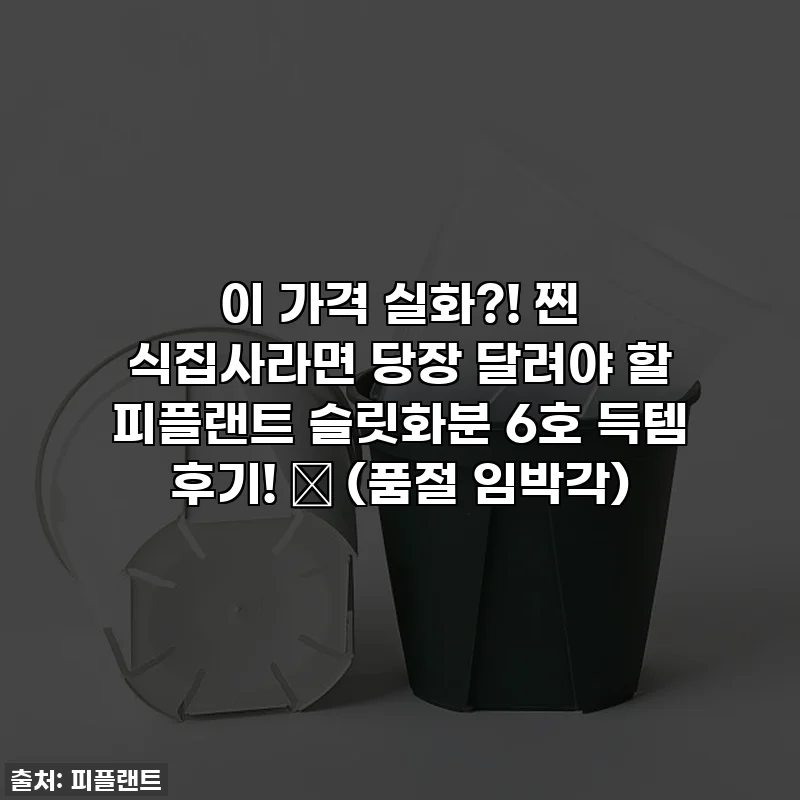 이 가격 실화?! 찐 식집사라면 당장 달려야 할 피플랜트 슬릿화분 6호 득템 후기! 🌱 (품절 임박각)