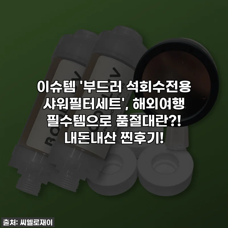 이슈템 '부드러 석회수전용 샤워필터세트', 해외여행 필수템으로 품절대란?! 내돈내산 찐후기!