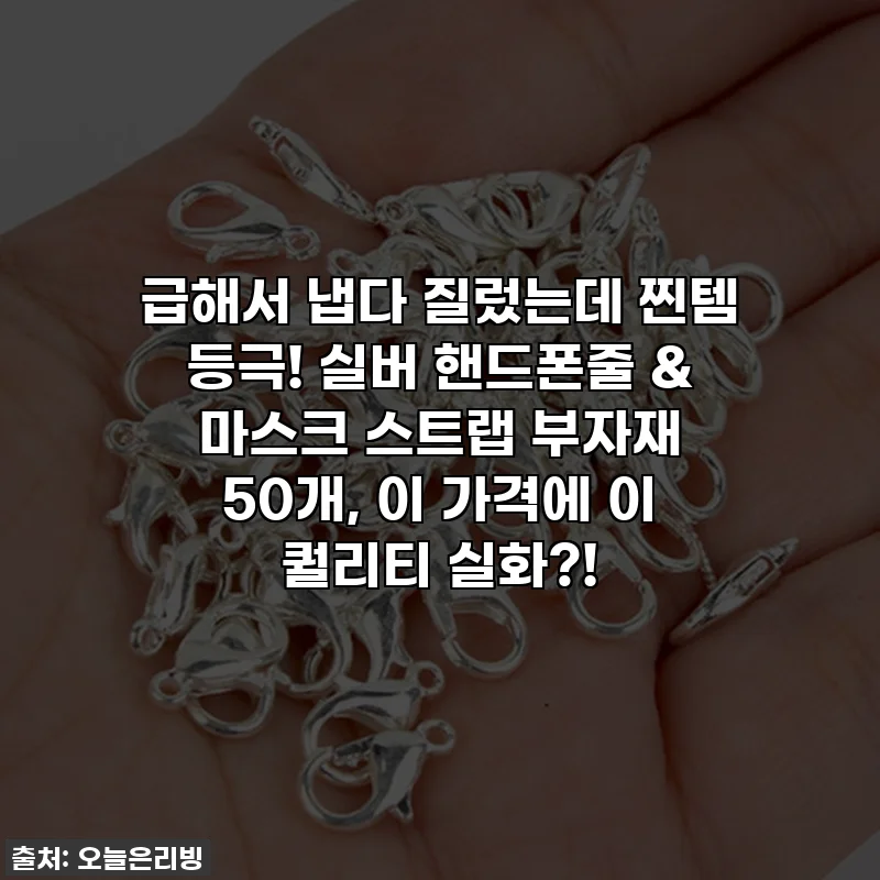급해서 냅다 질렀는데 찐템 등극! 실버 핸드폰줄 & 마스크 스트랩 부자재 50개, 이 가격에 이 퀄리티 실화?!