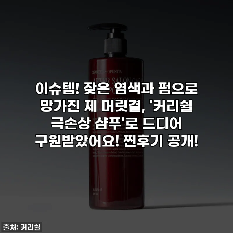 이슈템! 잦은 염색과 펌으로 망가진 제 머릿결, '커리쉴 극손상 샴푸'로 드디어 구원받았어요! 찐후기 공개!