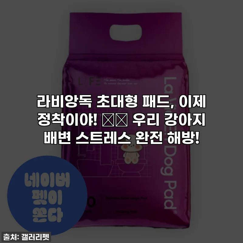라비앙독 초대형 패드, 이제 정착이야! 🐶✨ 우리 강아지 배변 스트레스 완전 해방!
