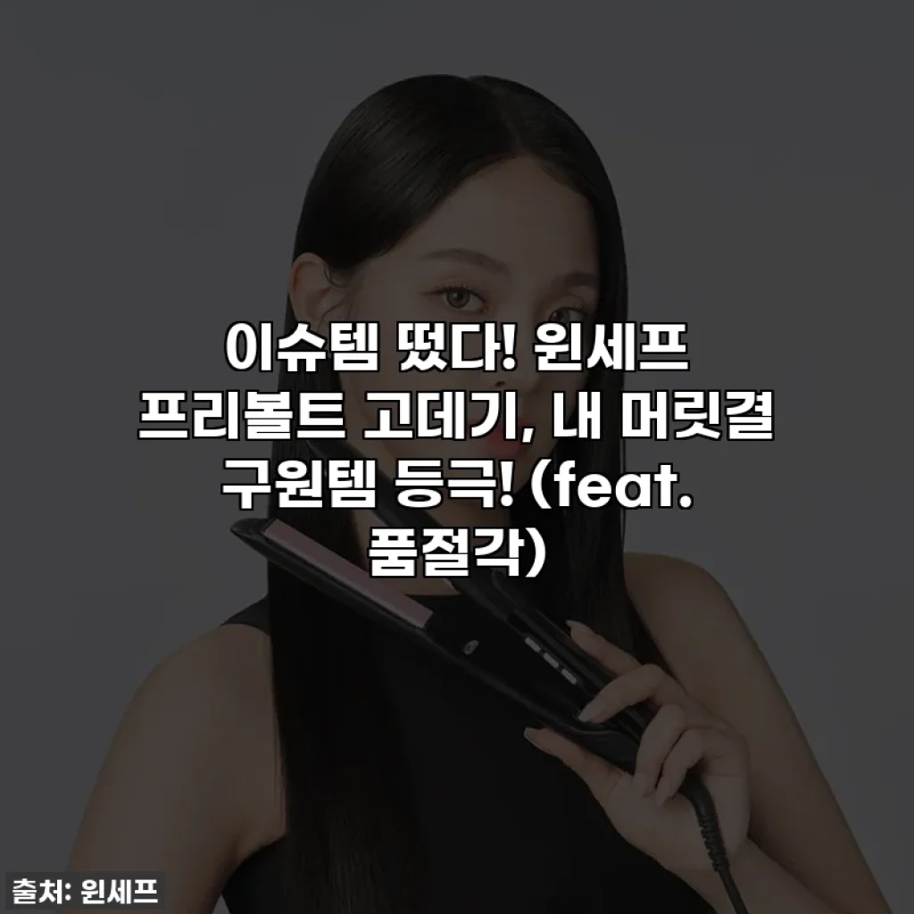 이슈템 떴다! 윈세프 프리볼트 고데기, 내 머릿결 구원템 등극! (feat. 품절각)