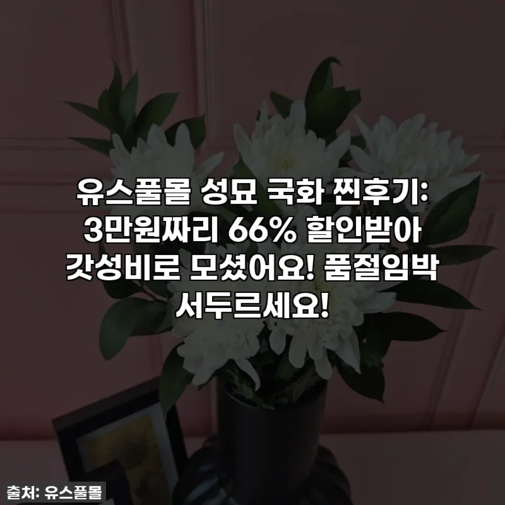 유스풀몰 성묘 국화 찐후기: 3만원짜리 66% 할인받아 갓성비로 모셨어요! 품절임박 서두르세요!