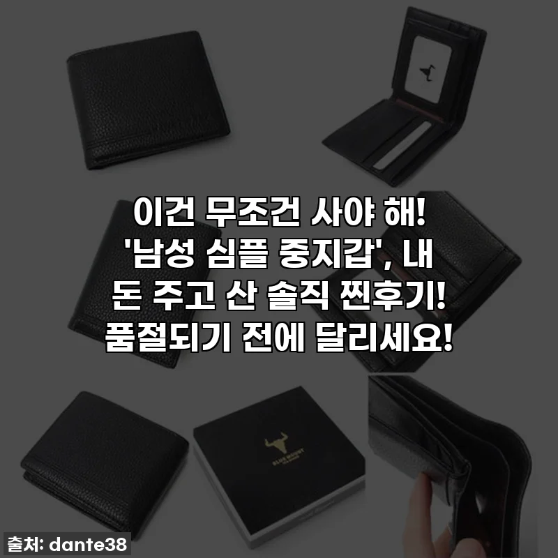 이건 무조건 사야 해! '남성 심플 중지갑', 내 돈 주고 산 솔직 찐후기! 품절되기 전에 달리세요!
