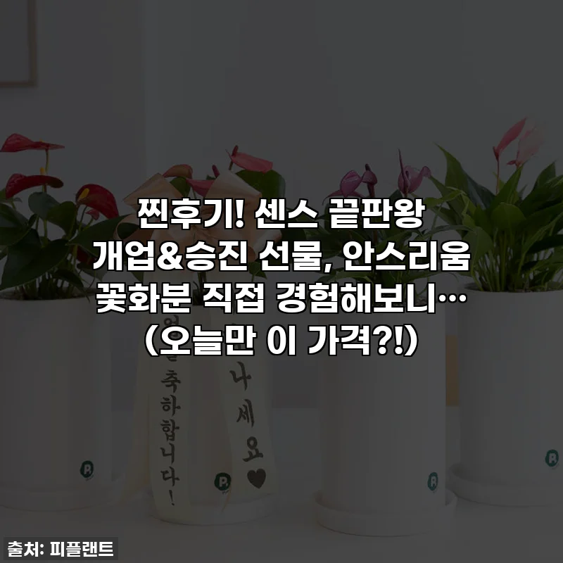 찐후기! 센스 끝판왕 개업&승진 선물, 안스리움 꽃화분 직접 경험해보니… (오늘만 이 가격?!)