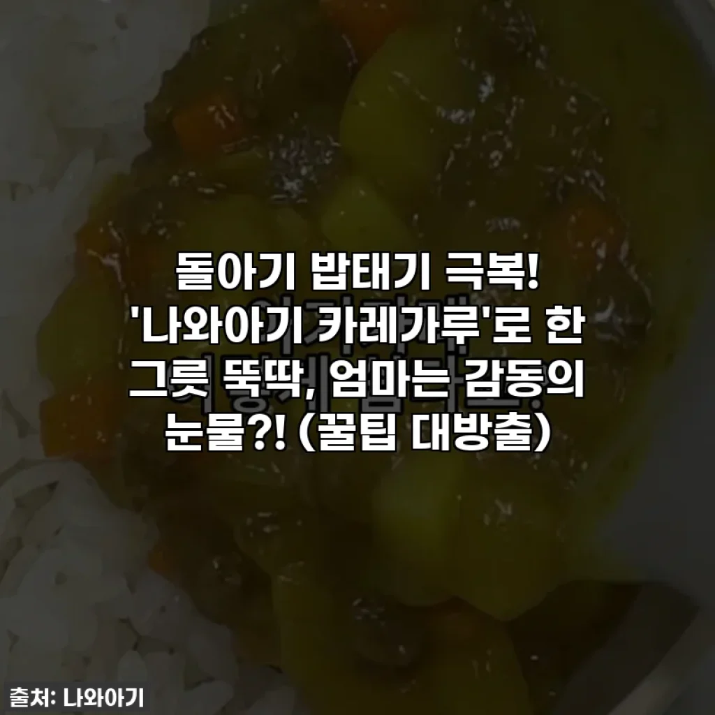 돌아기 밥태기 극복! '나와아기 카레가루'로 한 그릇 뚝딱, 엄마는 감동의 눈물?! (꿀팁 대방출)