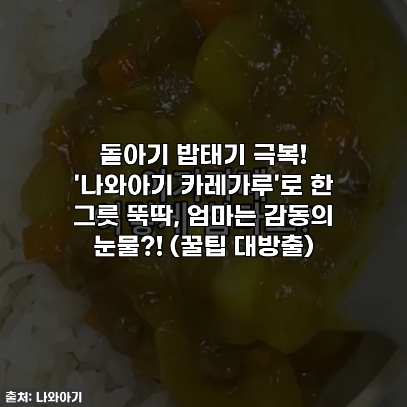 돌아기 밥태기 극복! '나와아기 카레가루'로 한 그릇 뚝딱, 엄마는 감동의 눈물?! (꿀팁 대방출)