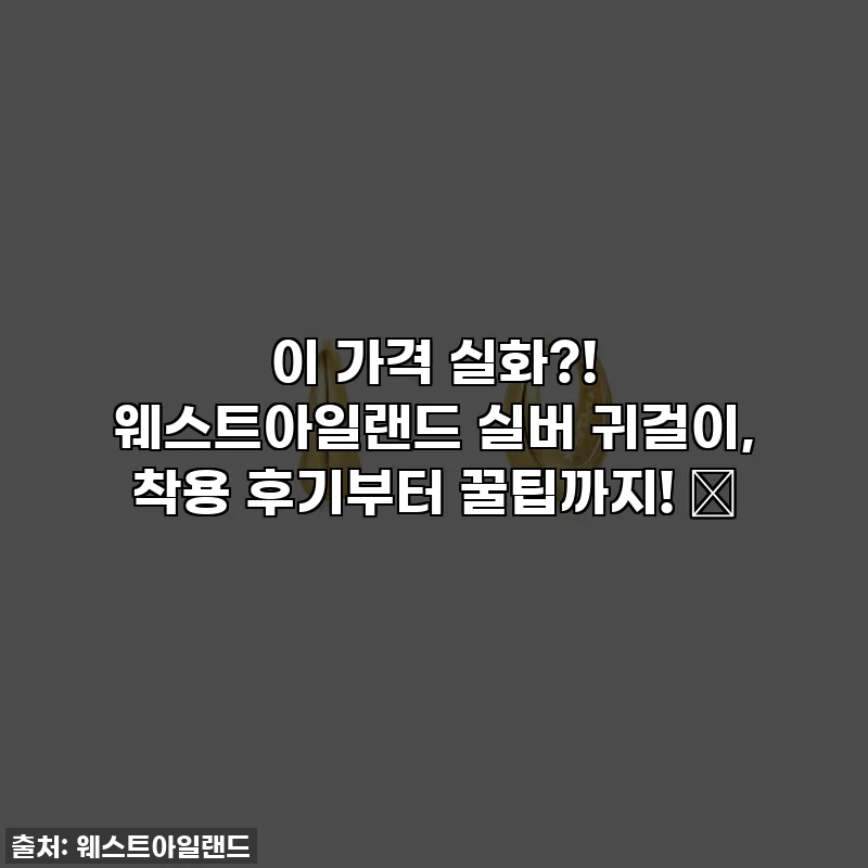 이 가격 실화?! 웨스트아일랜드 실버 귀걸이, 착용 후기부터 꿀팁까지! ✨