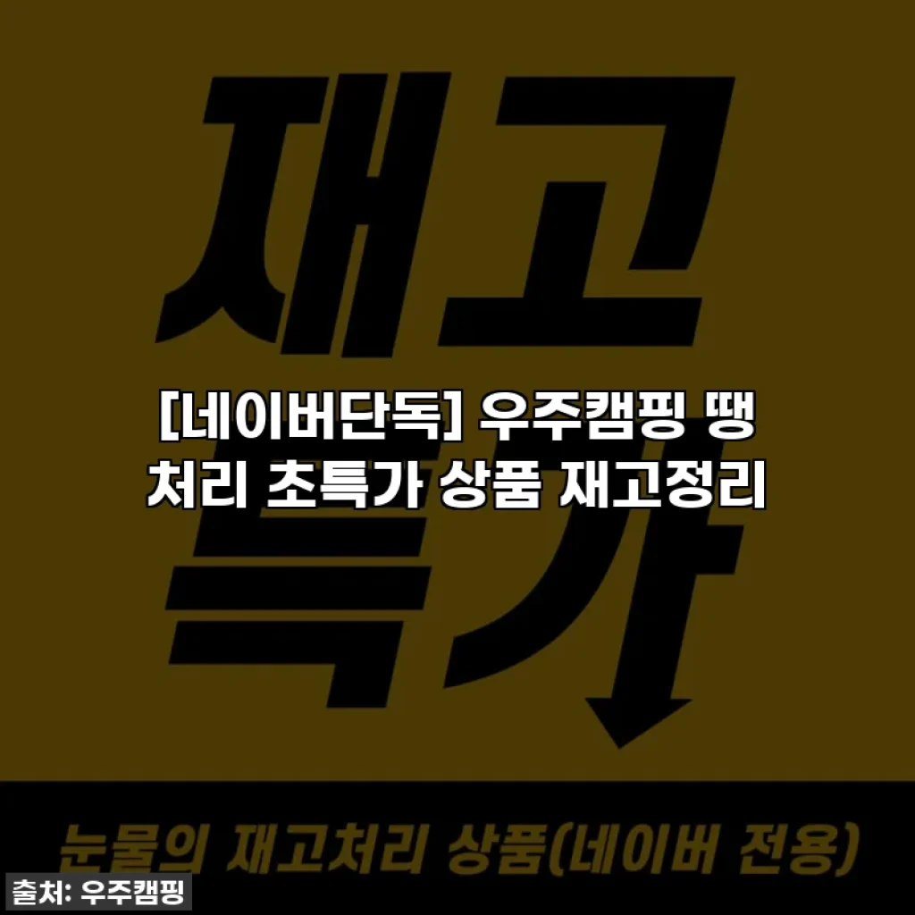 [네이버단독] 우주캠핑 땡 처리 초특가 상품 재고정리