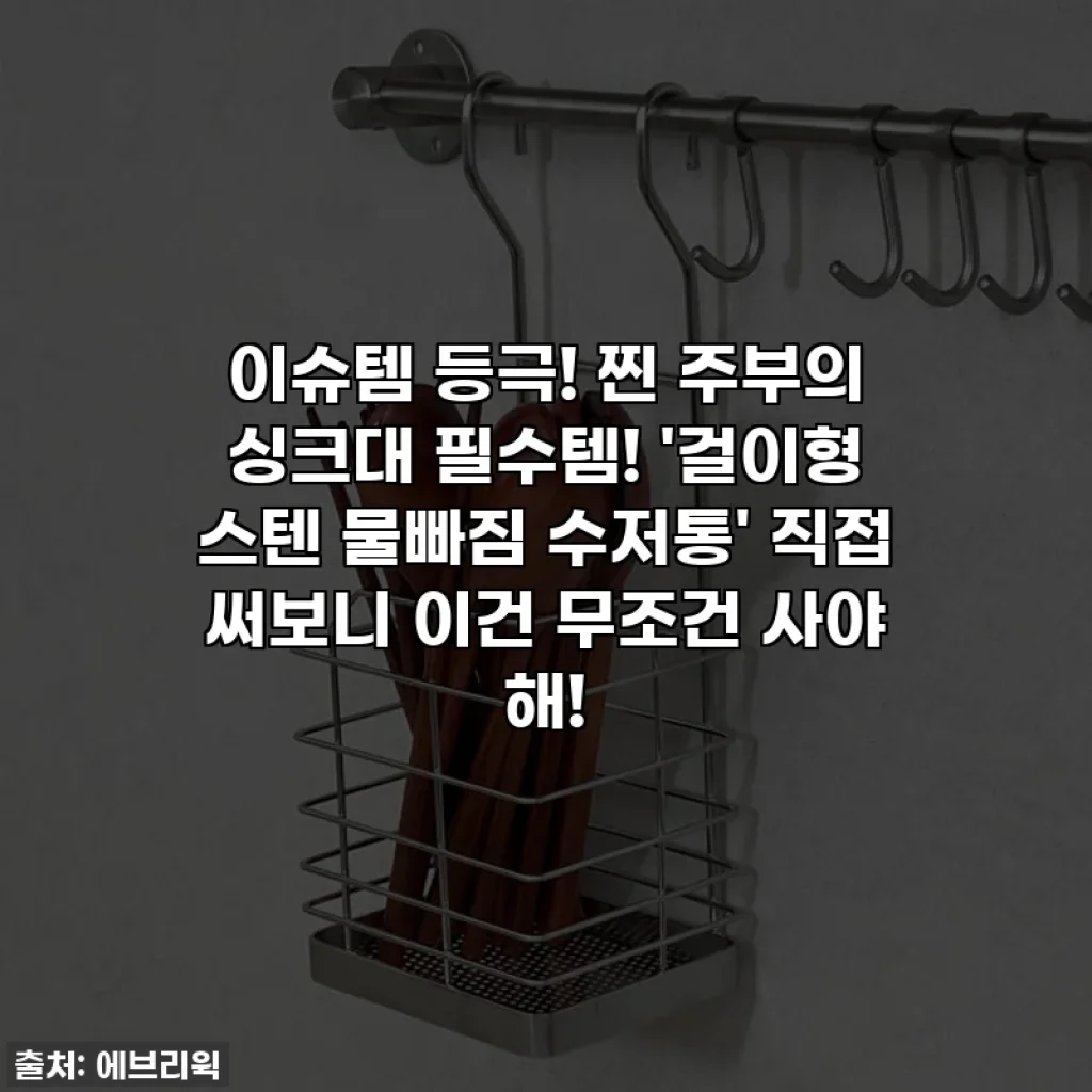 이슈템 등극! 찐 주부의 싱크대 필수템! '걸이형 스텐 물빠짐 수저통' 직접 써보니 이건 무조건 사야 해!