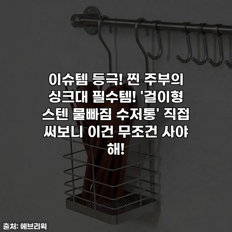 이슈템 등극! 찐 주부의 싱크대 필수템! '걸이형 스텐 물빠짐 수저통' 직접 써보니 이건 무조건 사야 해!