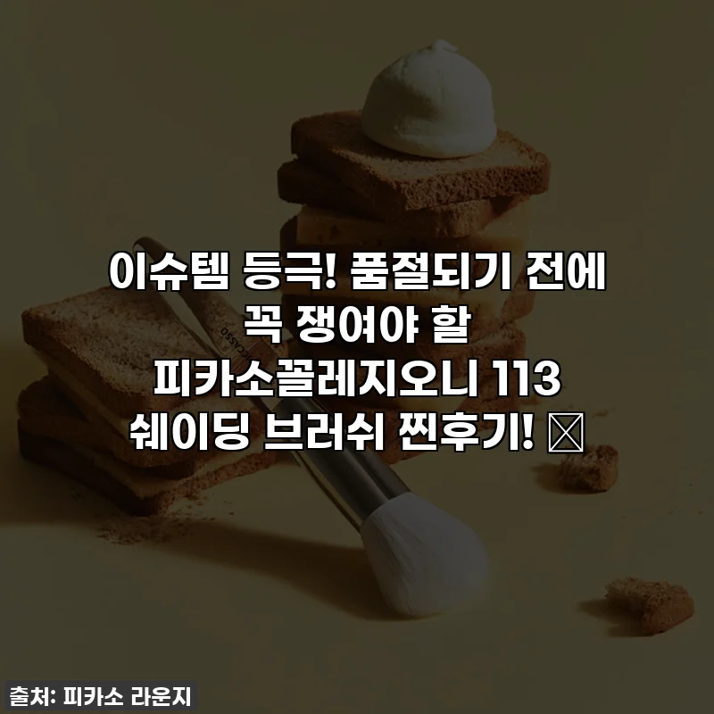 이슈템 등극! 품절되기 전에 꼭 쟁여야 할 피카소꼴레지오니 113 쉐이딩 브러쉬 찐후기! ✨