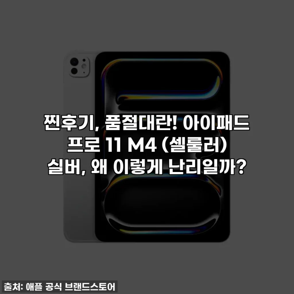 찐후기, 품절대란! 아이패드 프로 11 M4 (셀룰러) 실버, 왜 이렇게 난리일까?