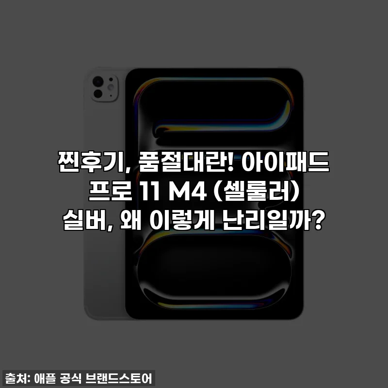 찐후기, 품절대란! 아이패드 프로 11 M4 (셀룰러) 실버, 왜 이렇게 난리일까?