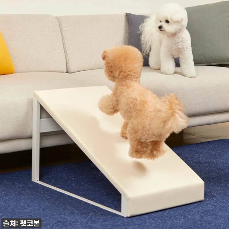 진심 감동! 펫코본 강아지계단, 슬개 관련 이미지 1