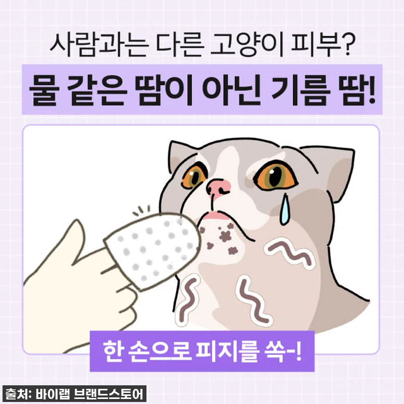 우리 냥이 턱드름? 🚨 품절대란 바이 관련 이미지 2