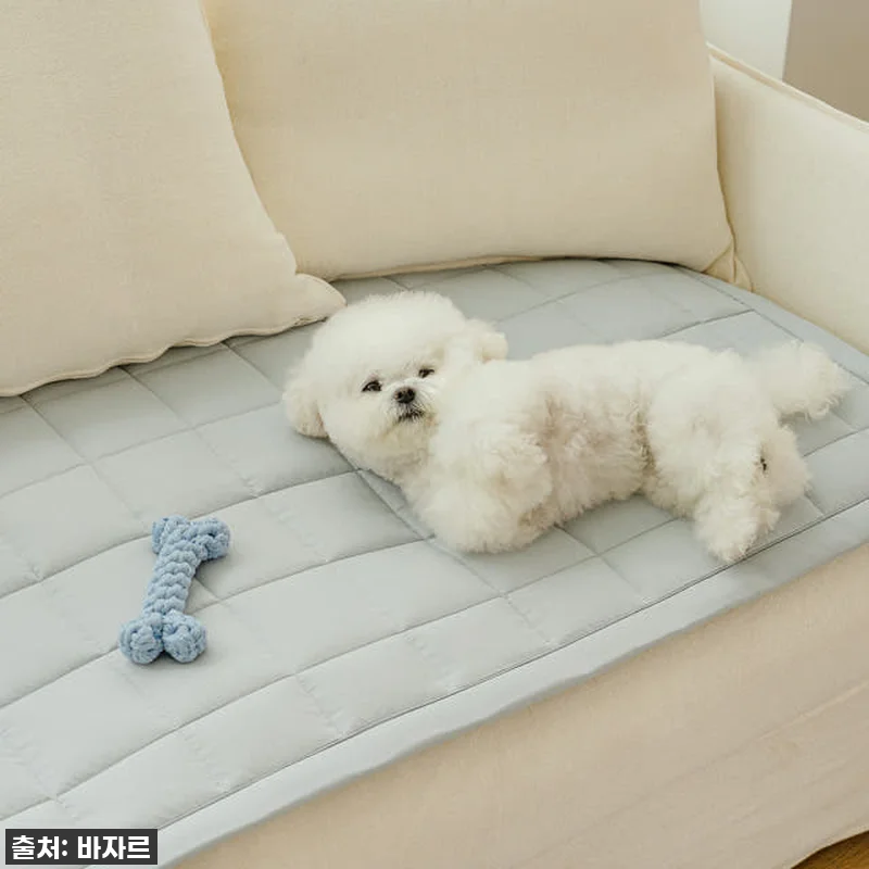 이슈템 떴다! 바자르 몽실몽실 소파패 관련 이미지 4