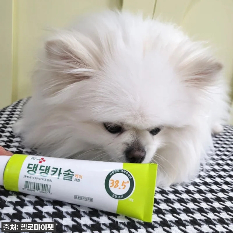 이슈템 떴다! 강아지 피부 트러블? 관련 이미지 4